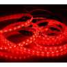 STRISCIA LED ROSSO 12V 4,8W/M IP20