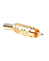 SPINA RCA VOLANTE ROSSA DORATA CON GUIDACAVO 6mm