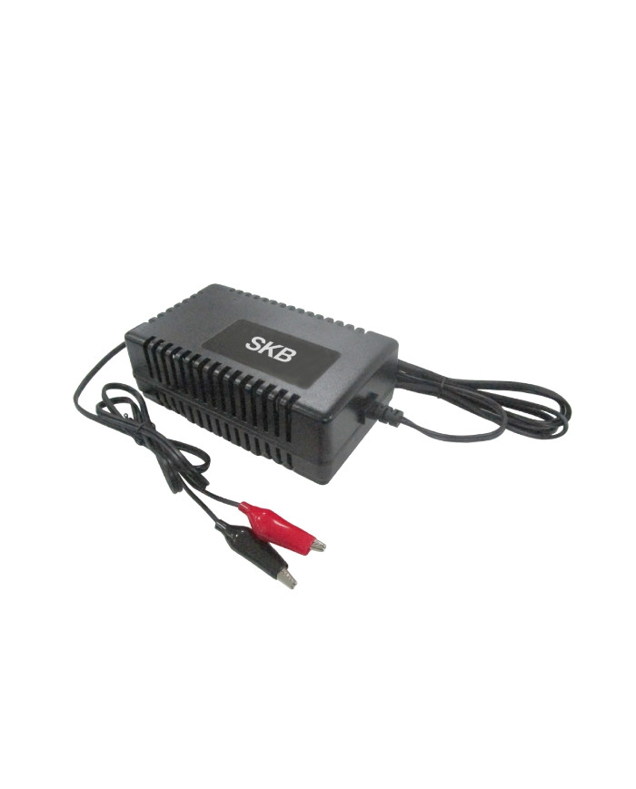 CARICA BATTERIE SWITCHING PER BATTERIE AL PIOMBO