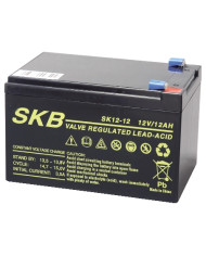 BATTERIA PIOMBO 12V 12AH SKB SK12-12