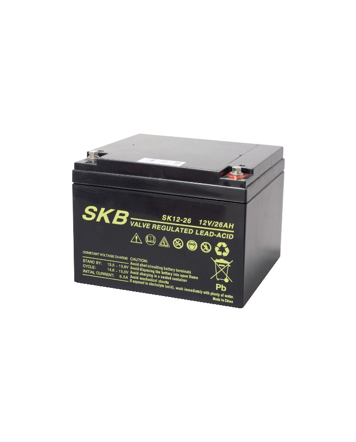 BATTERIA PIOMBO 12V 26AH SKB