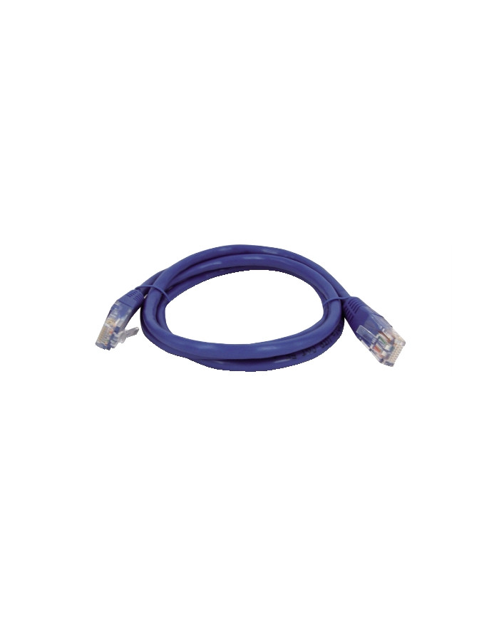 CAVO PATCH UTP CAT. 5 CON 2 SPINE RJ45 1MT BLU