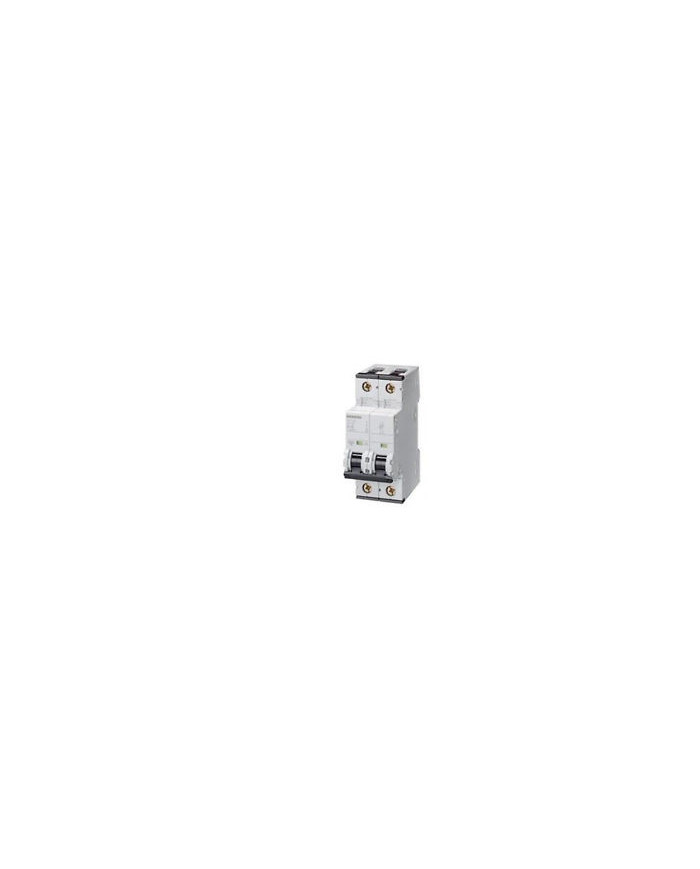 INTERRUTTORE MAGNETOTERMICO 4500A 1+N C10