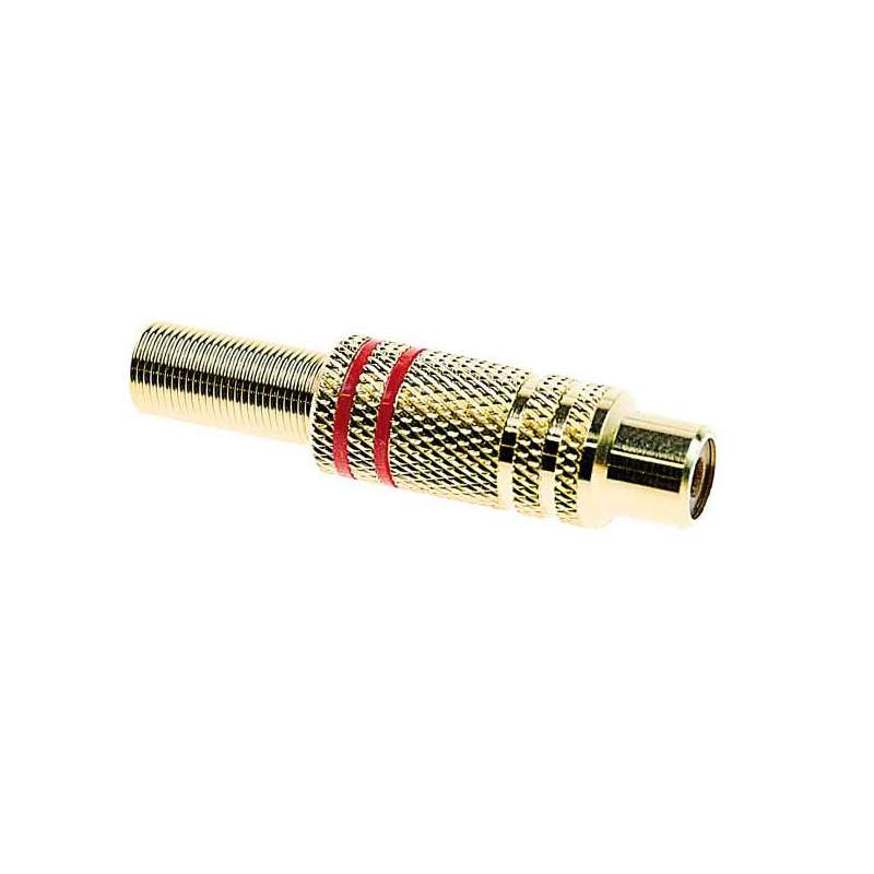 PRESA RCA ROSSA METALLICA DORATA VOL.CON GUID.6M
