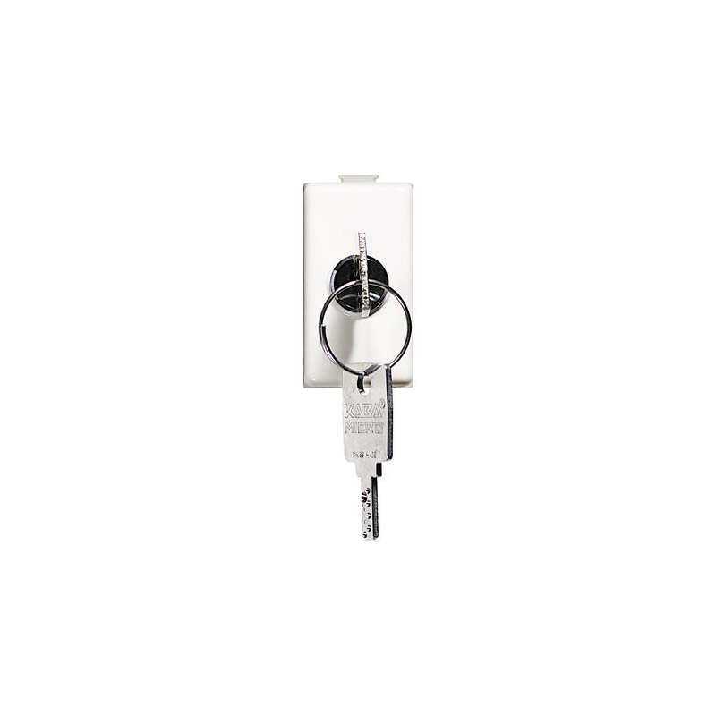 DEVIATORE 2P 16A 250V AC CON CHIAVE COLORE BIANCO