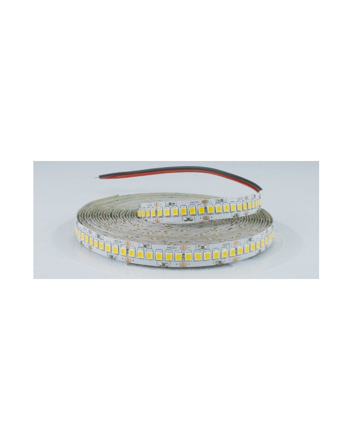 STRISCIA LED 24V 24W/M IP20 LUCE CALDA 3000K
