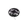 STRISCIA 5M IP20 2835 240LED/M 24V 24W/M 2600LM/M 6500K