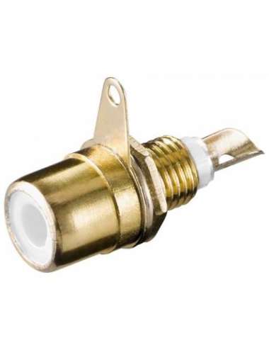 PRESA RCA DORATA DA PANNELLO BIANCA