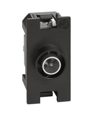 presa-tv-derivata-maschio-living-now