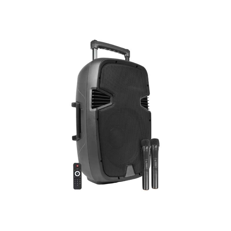 CASSA AMPLIFICATA MP3 CON AUX BLUETOOTH SD 500W A