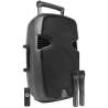 CASSA AMPLIFICATA MP3 CON AUX BLUETOOTH SD 500W A BATTERIA CON EQUALIZZATORE/TROLLEY/2 MIC.SENZA FIL