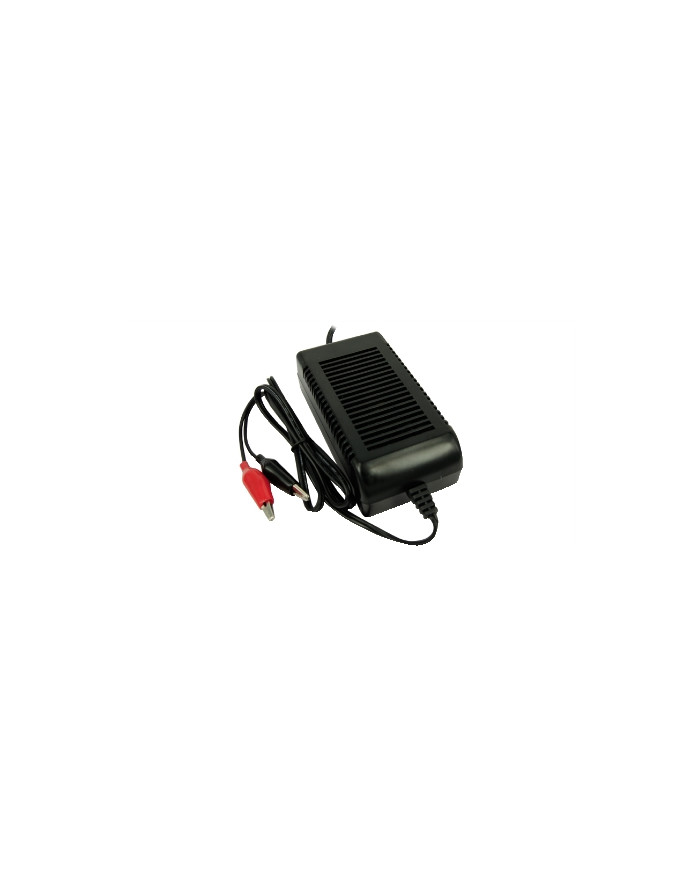 CARICA BATTERIA PIOMBO SWITCHING 12V 3A