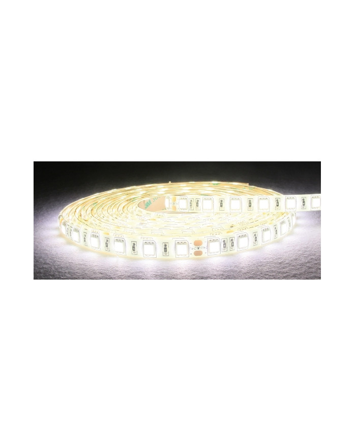 STRISCIA LED 24V 14,4W/M IP65 60 LED LUCE FREDDA