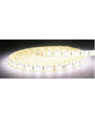 STRISCIA 5M IP65 5050 60LED/M 24V 14,4W/M 1350LM/M 6500K