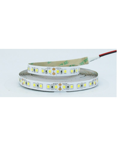 STRISCIA LED 5M 24V 12W/M IP20 LUCE NATURALE 4000K