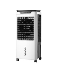 RAFFRESCATORE DARIA AD ACQUA PROFESSIONALE 42L