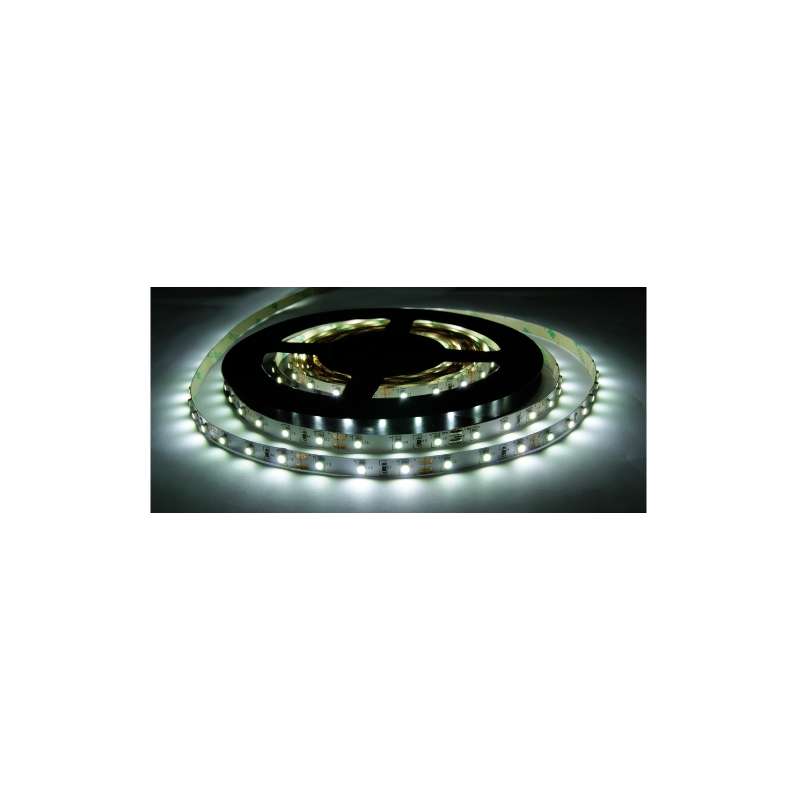 STRISCIA LED 24V 24W/M IP20 LUCE FREDDA 6000K
