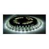 striscia-led-24v-24wm-ip20-luce-fredda-6000k