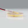 STRISCIA LED 5M IP67 COB 512 LED/M 24V 14W/M 1100LM/M 3000K LUCE CALDA