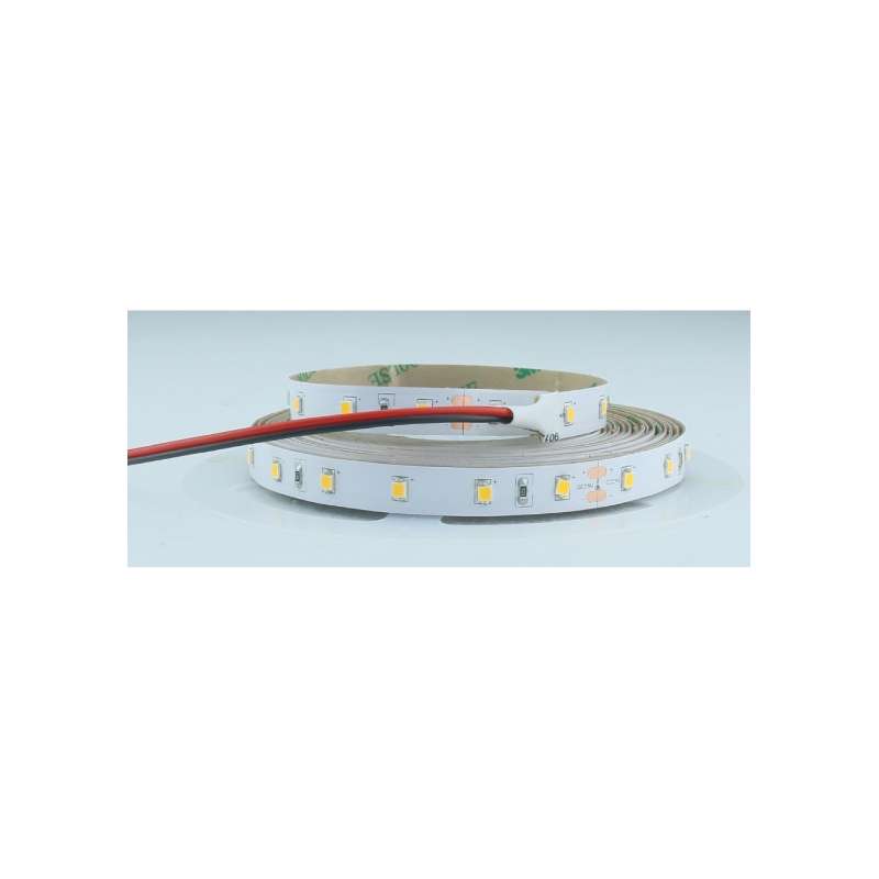 STRISCIA LED 24V 8W/M IP20 LUCE FREDDA 6500K