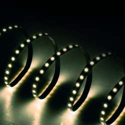 STRISCIA LED 24V 8,5W/M IP20 LUCE FREDDA 6500K