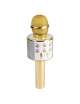 MICROFONO A BATTERIA PER KARAOKE CON SPEAKER INTEGRATI, BLUETOOTH E MP3 GOLD
