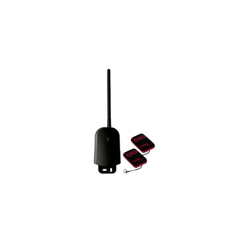 KIT RICEVITORE 2CH 2 RADIOCOMANDI 433.92 MHZ UNIV