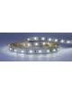 STRISCIA LED 12V 4,8W/M IP20 LUCE CALDA 6500K 64LED/M