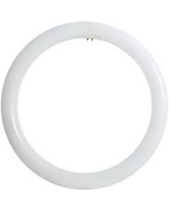 NEON CIRCOLARE A LED D.300MM 20W 360° 4000K LUCE LUCE NATURALE