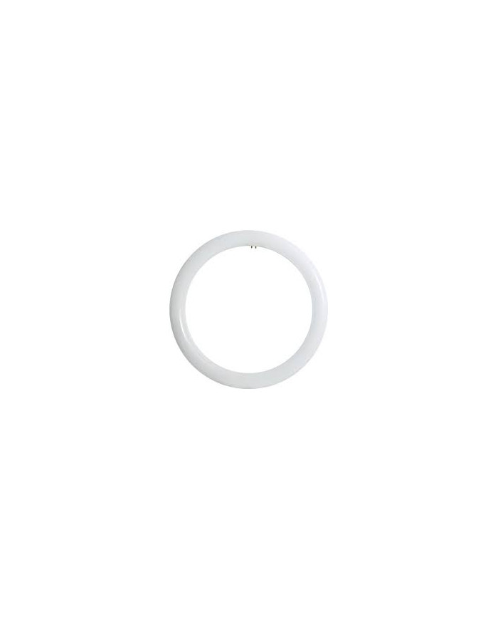 NEON CIRCOLARE A LED D.215MM T9 14W LUCE NATURALE