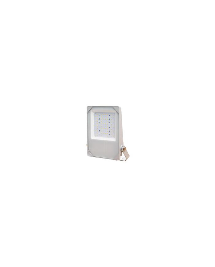 FARO DA PARETE CON LED 100W IK08 IP66 6500K
