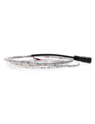 STRISCIA LED 24V 10W/M IP20 5MT SMD2110 3000K