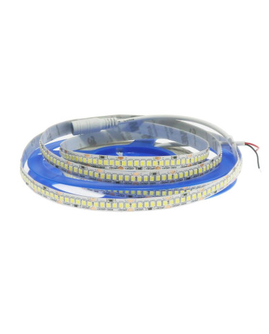 STRISCIA LED 24V 19W/M IP65 240 LED LUCE NATURALE