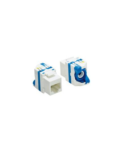 PRESA MODULARE PLUG RJ45 8P/8C CAT6 PANNELLO BLU