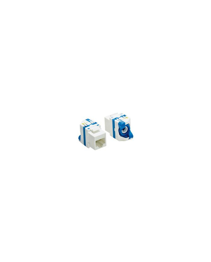 PRESA MODULARE PLUG RJ45 8P/8C CAT6 PANNELLO BLU
