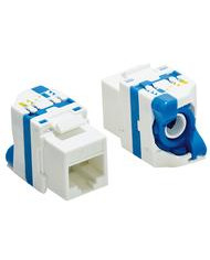 PRESA MODULARE PLUG RJ45 8P/8C CAT6 DA PANNELLO BLU