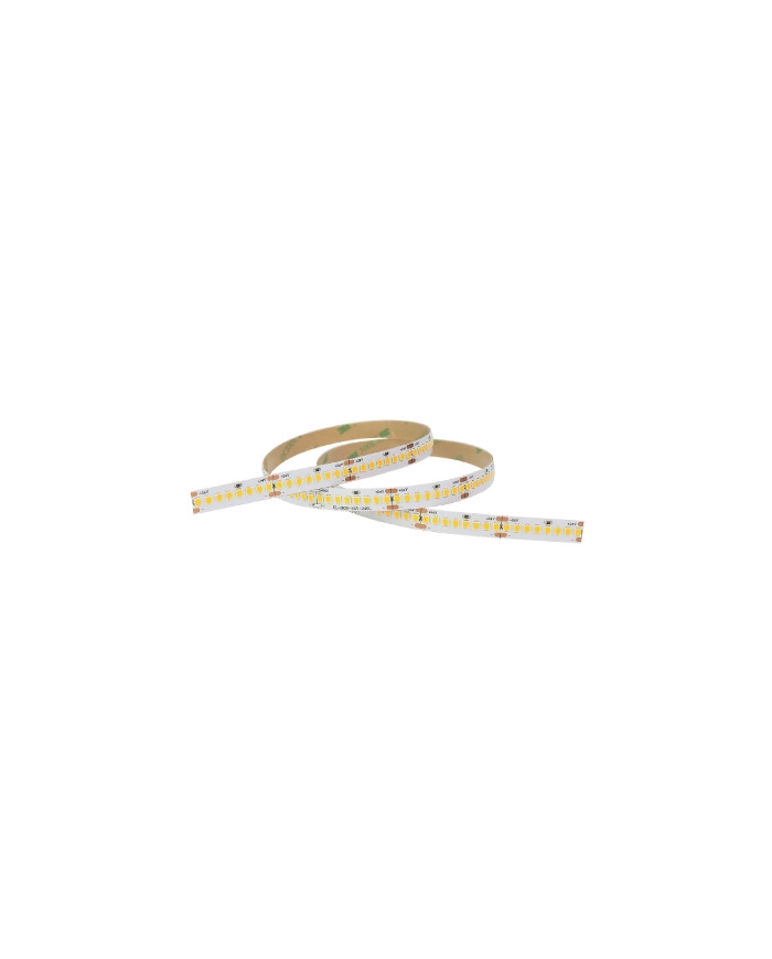 STRISCIA LED 24V 19,2 W/M 5MT 240LED/M 4000K IP20
