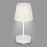 LAMPADA DA TAVOLO RICARICABILE A BATTERIA 2,6W