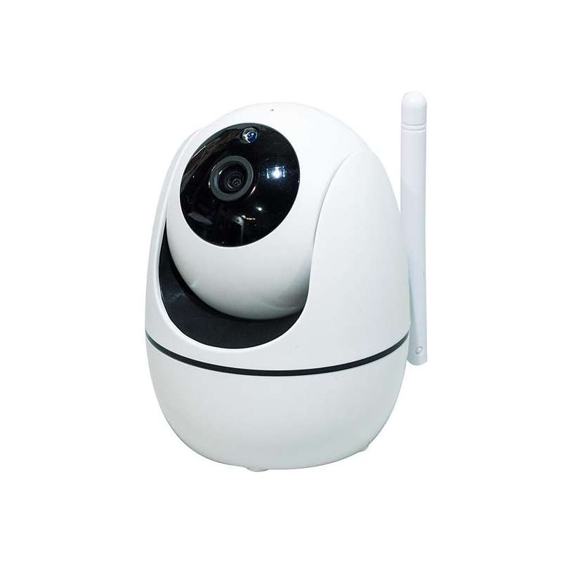 TELECAMERA IP WIRELESS 2,4GHZ P&P MOTORIZZATA