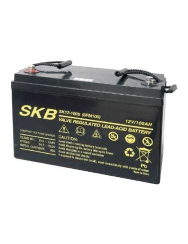 BATTERIA PIOMBO 12V 100AH SK12-100S F11