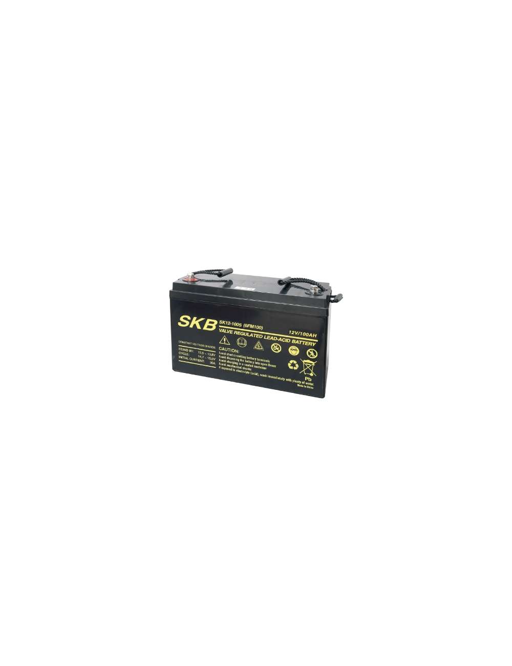 BATTERIA PIOMBO 12V 100AH SK12-100S F11