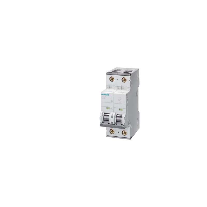 INTERRUTTORE MAGNETOTERMICO 400V 10KA 2P CURVA C