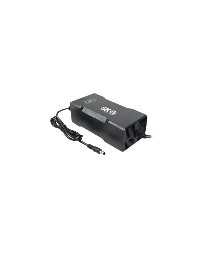 CARICABATTERIE SWITCHING PER BATTERIE LI-ION 24V