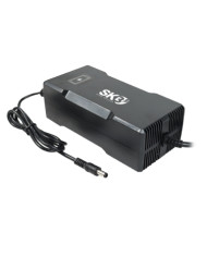 CARICABATTERIE SWITCHING PER BATTERIE LI-ION 24V (7S) - 4A