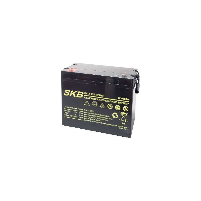 BATTERIA PIOMBO 12V 65AH SK12-65S F11