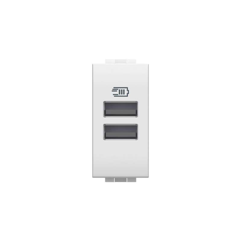 CONNETTORE USB SERIE LIVING LIGHT CON 2 PORTE USB