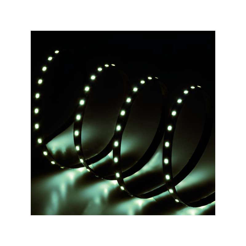 STRISCIA LED 24V 9W/M 98LED/MT IP20 6500K