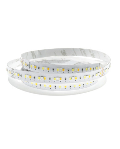 STRISCIA LED 24VDC 14W/M IP20 5MT RGB+CCT