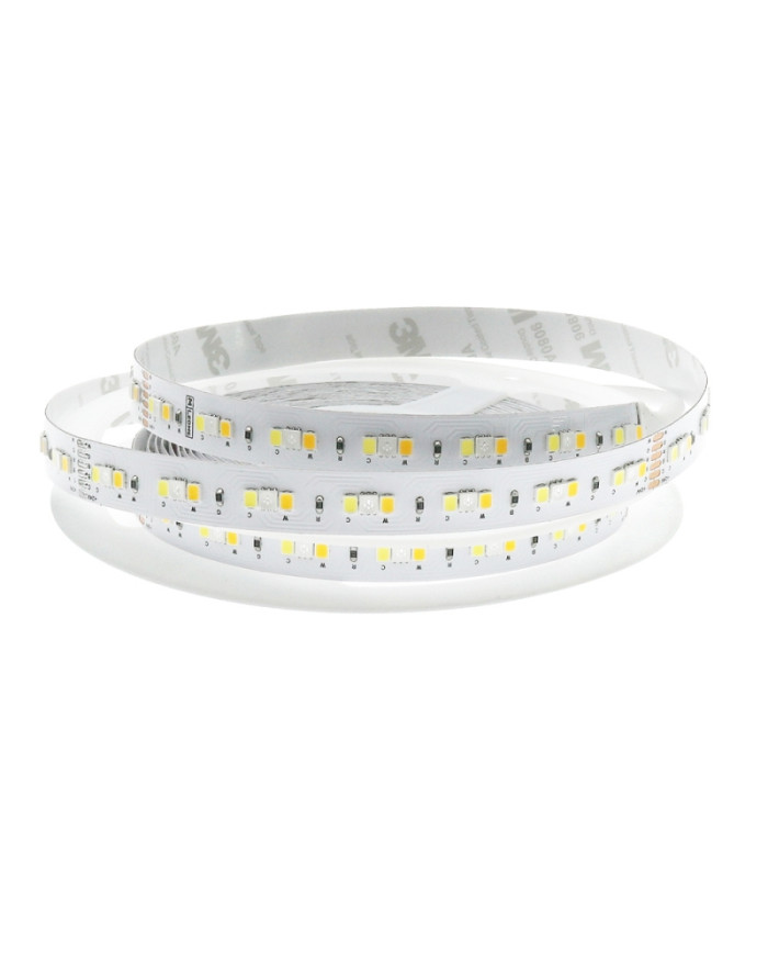 STRISCIA LED 24VDC 14W/M IP20 5MT RGB+CCT