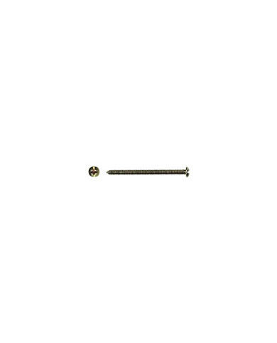 VITE 50MM PER FISSAGGIO SUPPORTO